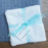 Washable Wipes and Pouch